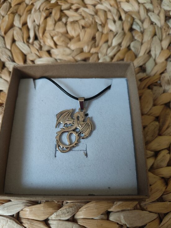 Collier en acier inoxydable Dragon 