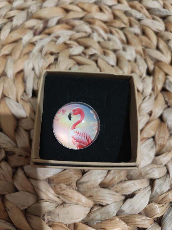 Pin's flamand rose 
